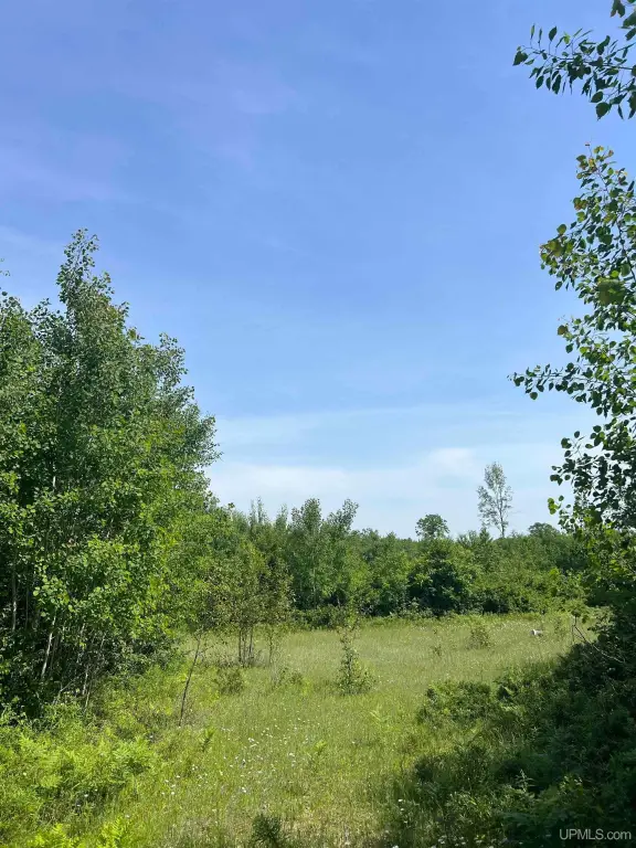 Picture 27
