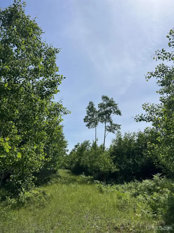Picture 6