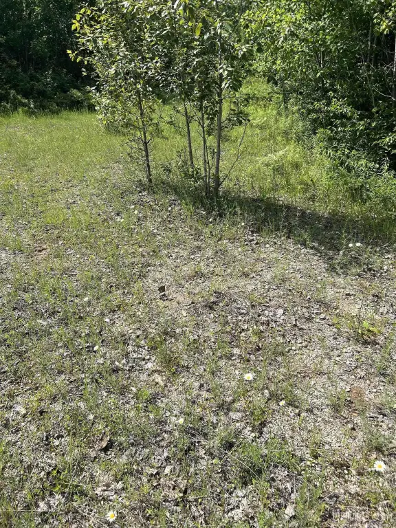 Picture 15