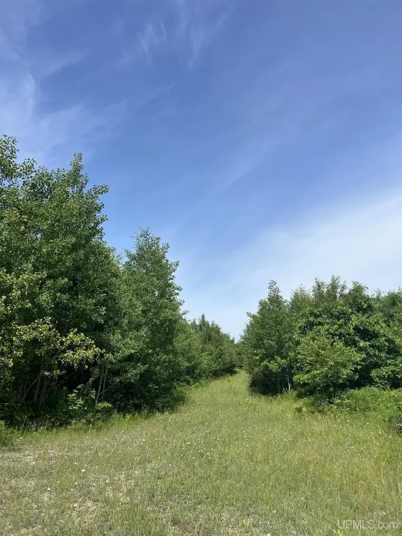 Picture 20