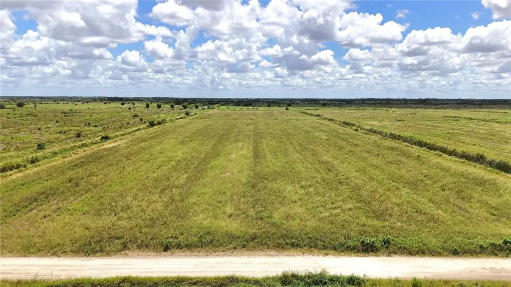 Picture 19