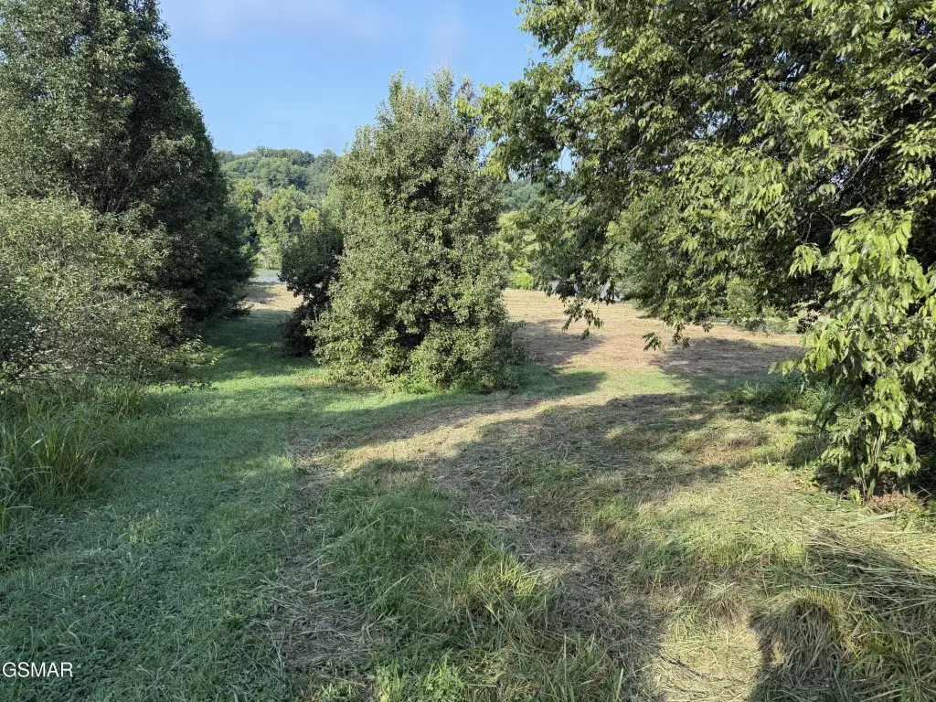 Picture 19
