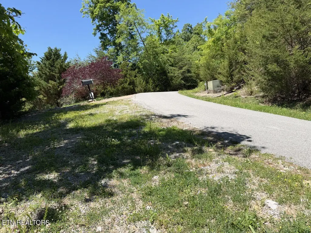 Picture 16