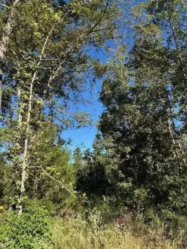 Land for Outdoor Enthusiasts