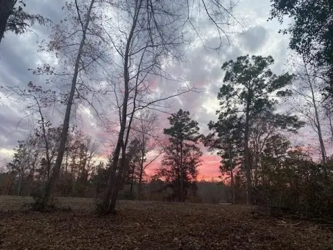 Palestine, TX Unimproved Land