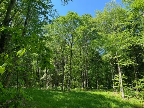 73 Acres Wooded Retreat For Sale