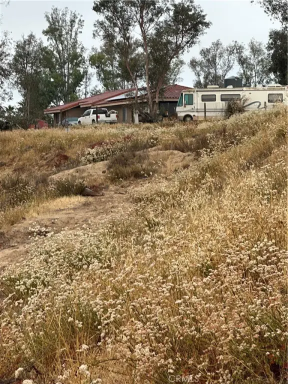 Picture 11