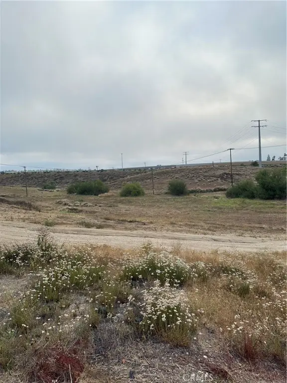 Picture 16
