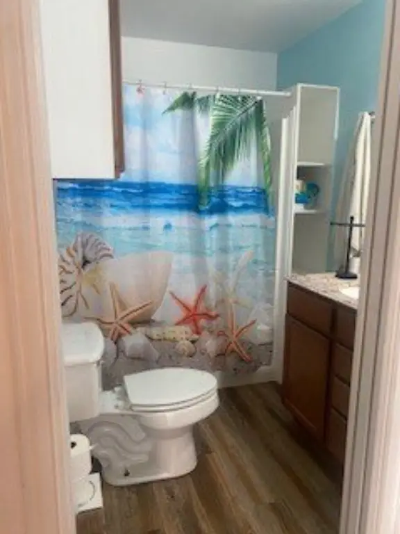 Picture 16