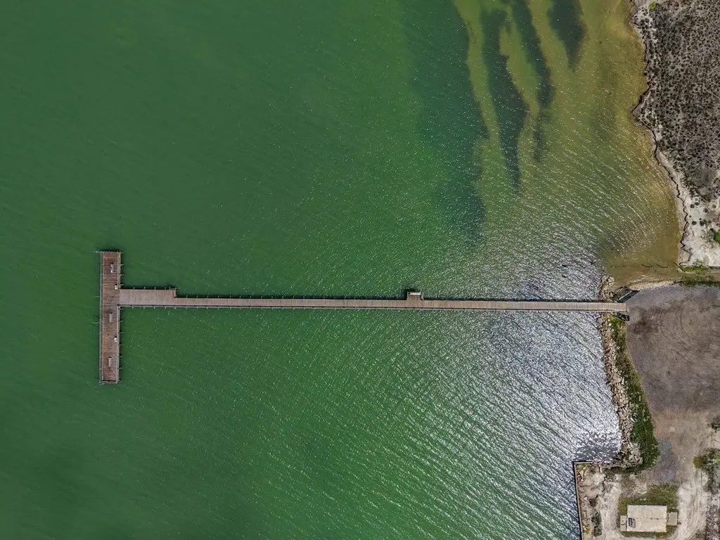 Picture 19