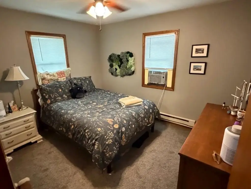 Picture 19