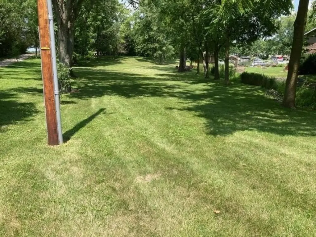 Picture 4