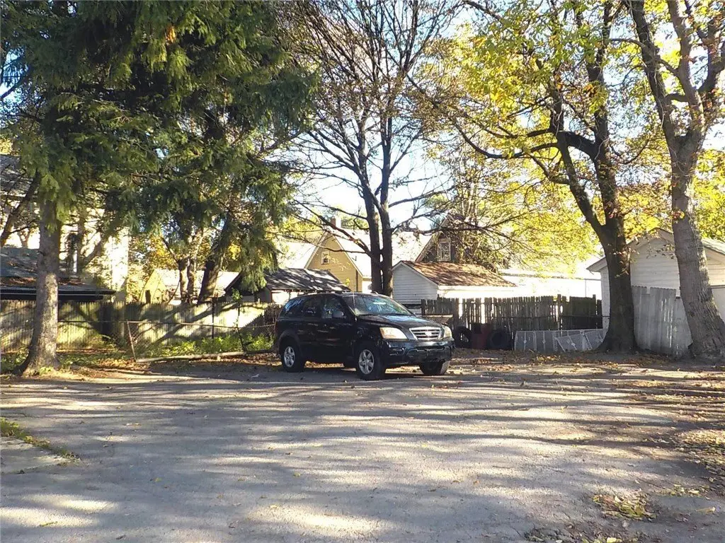 Picture 5