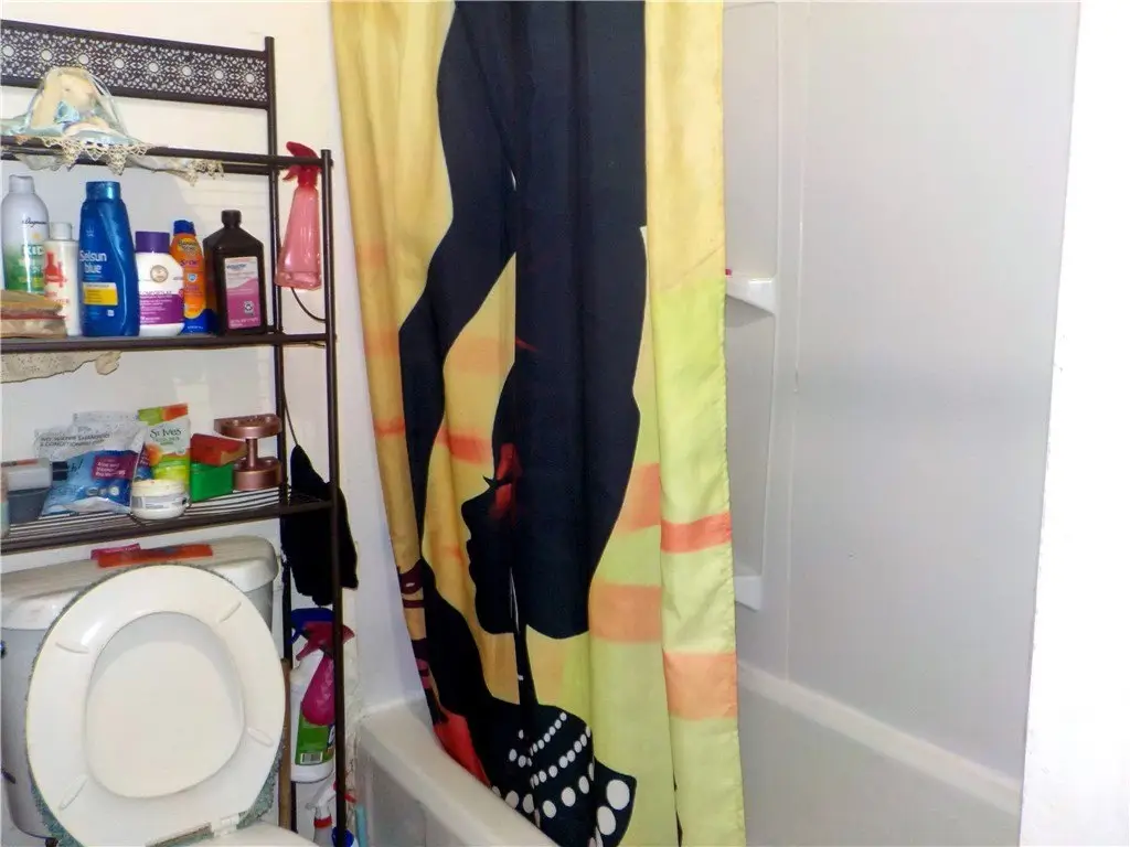 Picture 5