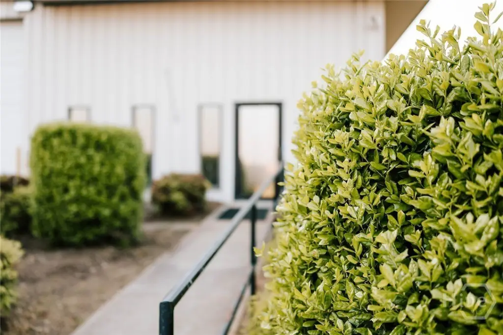 Picture 38