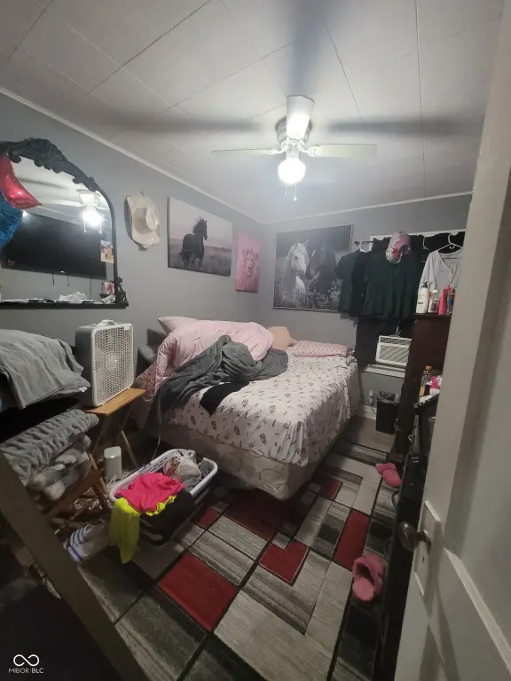 Picture 8