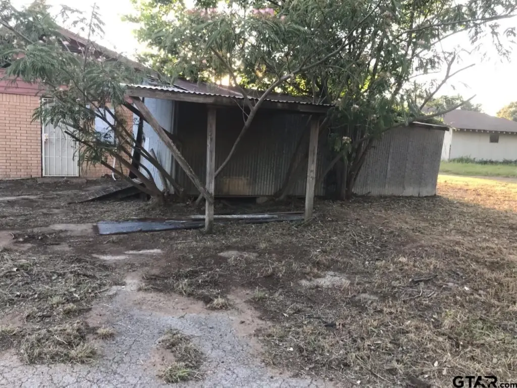 Picture 15