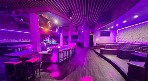 Miami Nightclub Business Opportunity