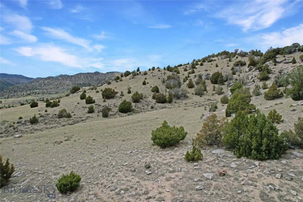 Picture 27