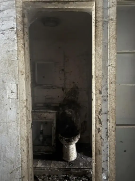 Picture 21