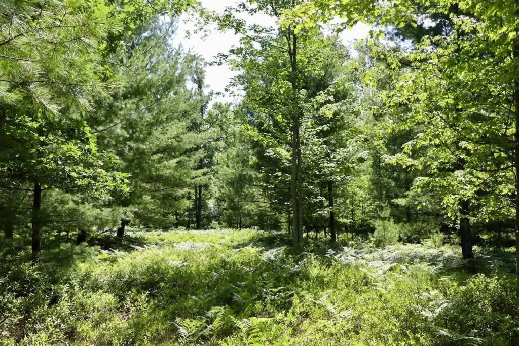 Picture 3