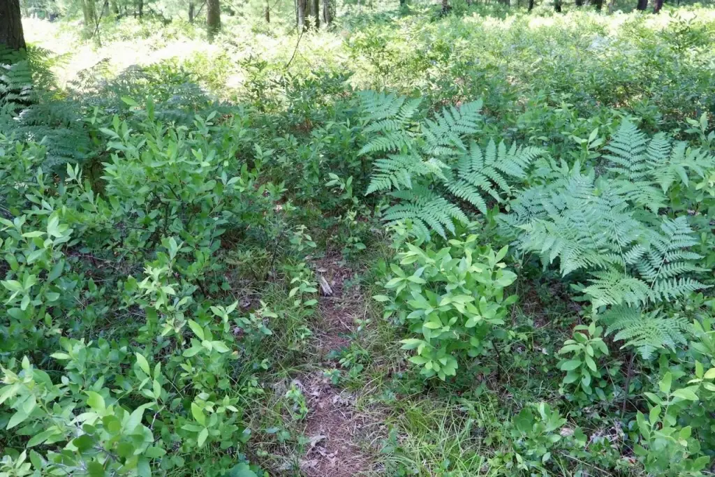 Picture 5