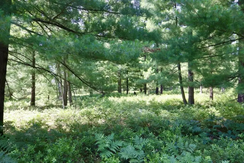 Picture 6