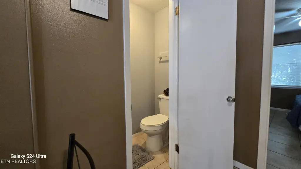 Picture 44