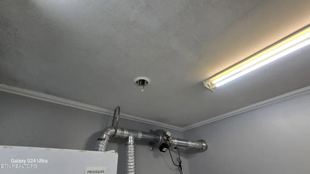 Picture 41
