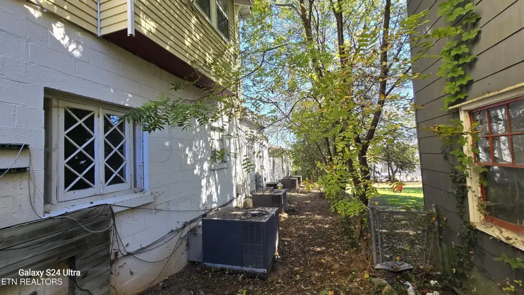 Picture 25