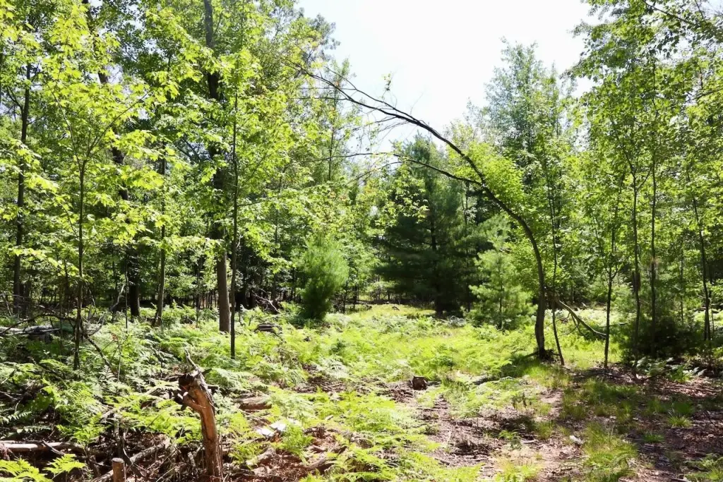 Picture 14