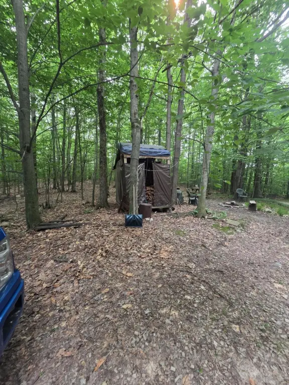 Picture 19