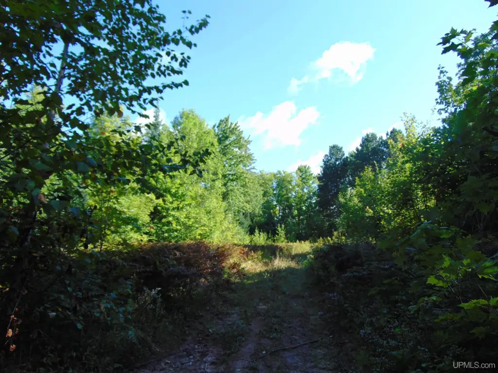 Picture 20