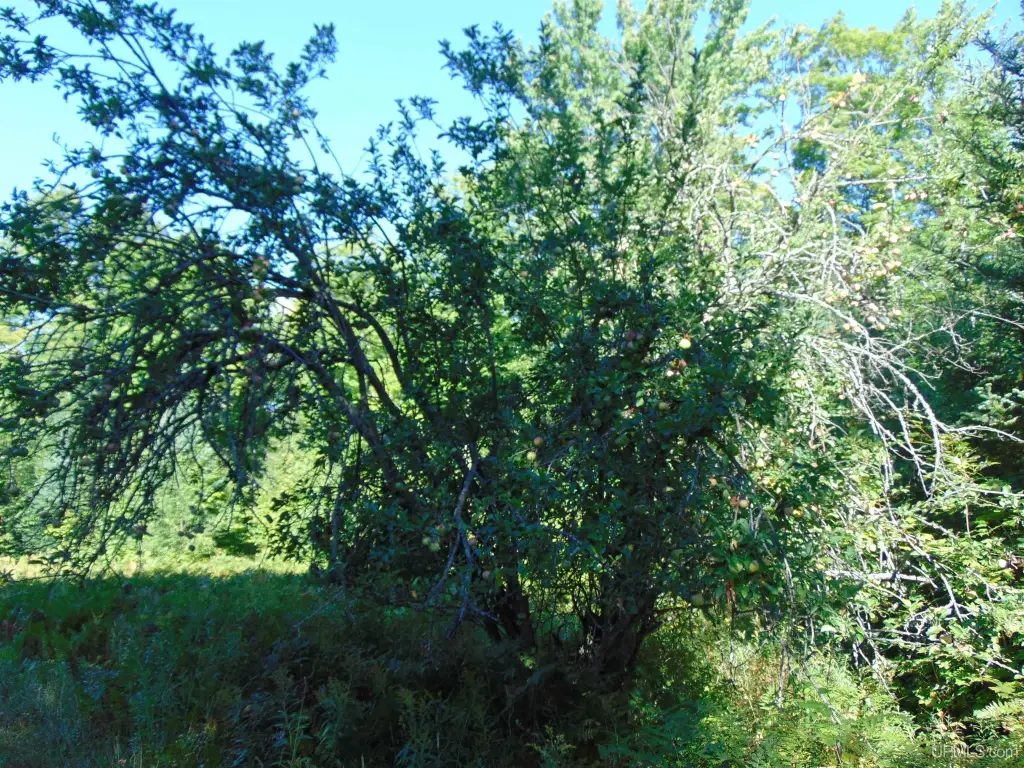 Picture 16