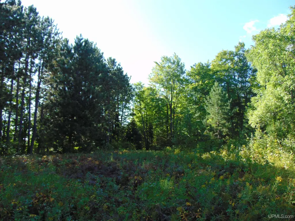 Picture 23