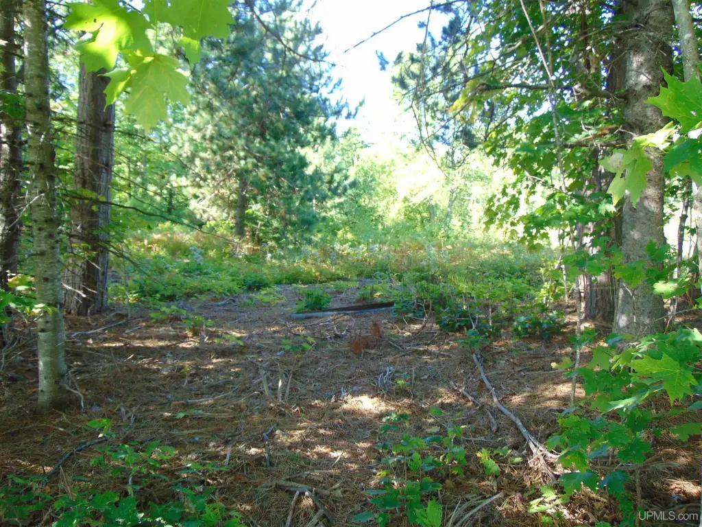 Picture 13