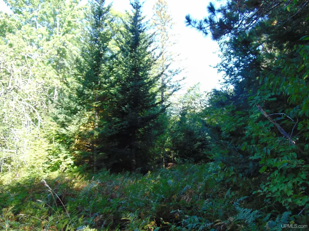 Picture 14