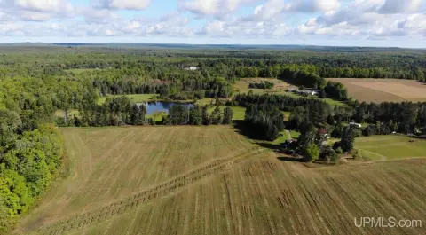 Wooded Hunting Land
