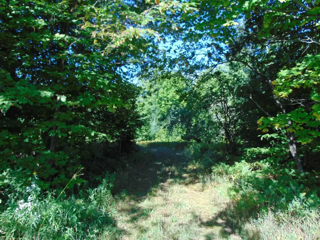 Picture 12