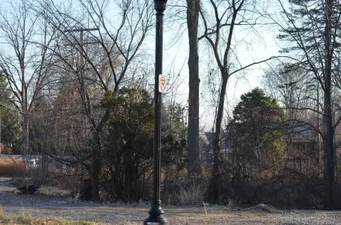 Downtown Northville Vacant Land