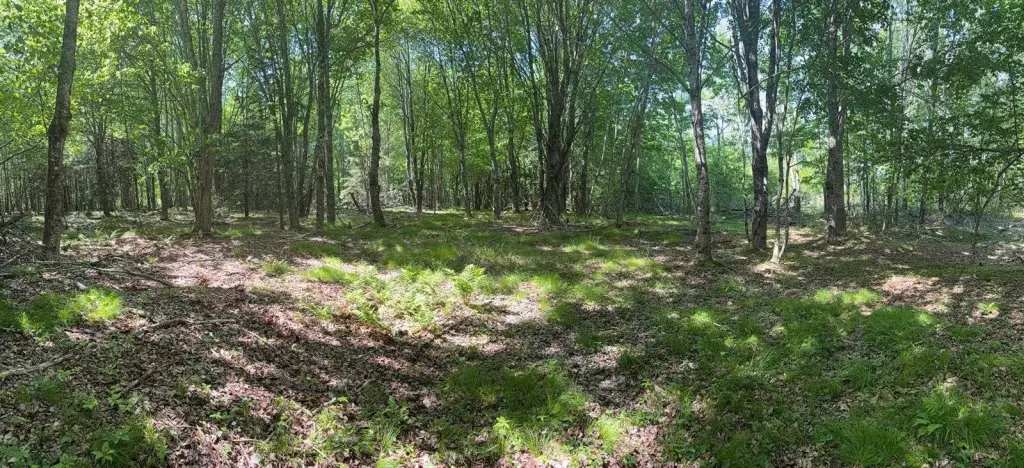 Picture 25