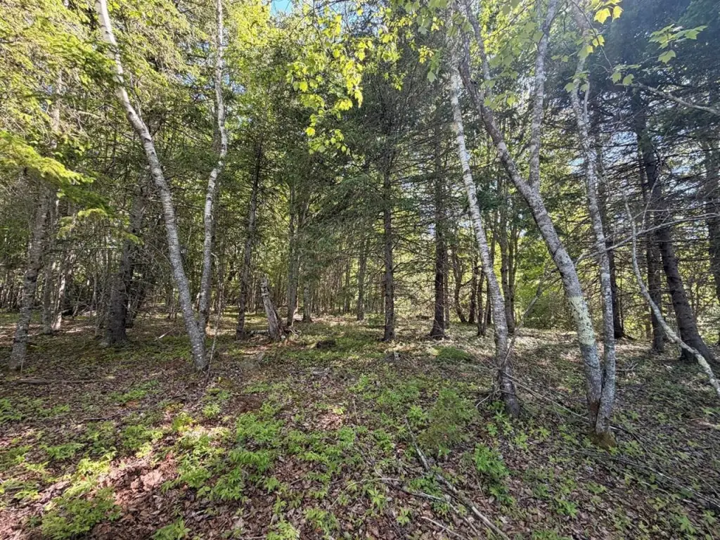 Picture 29