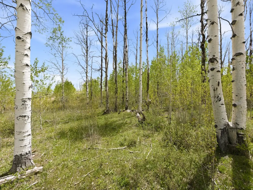 Picture 12