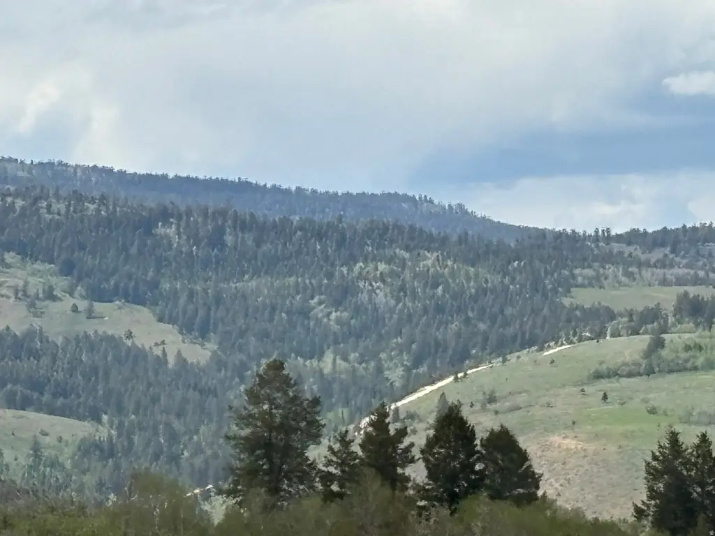 Picture 2