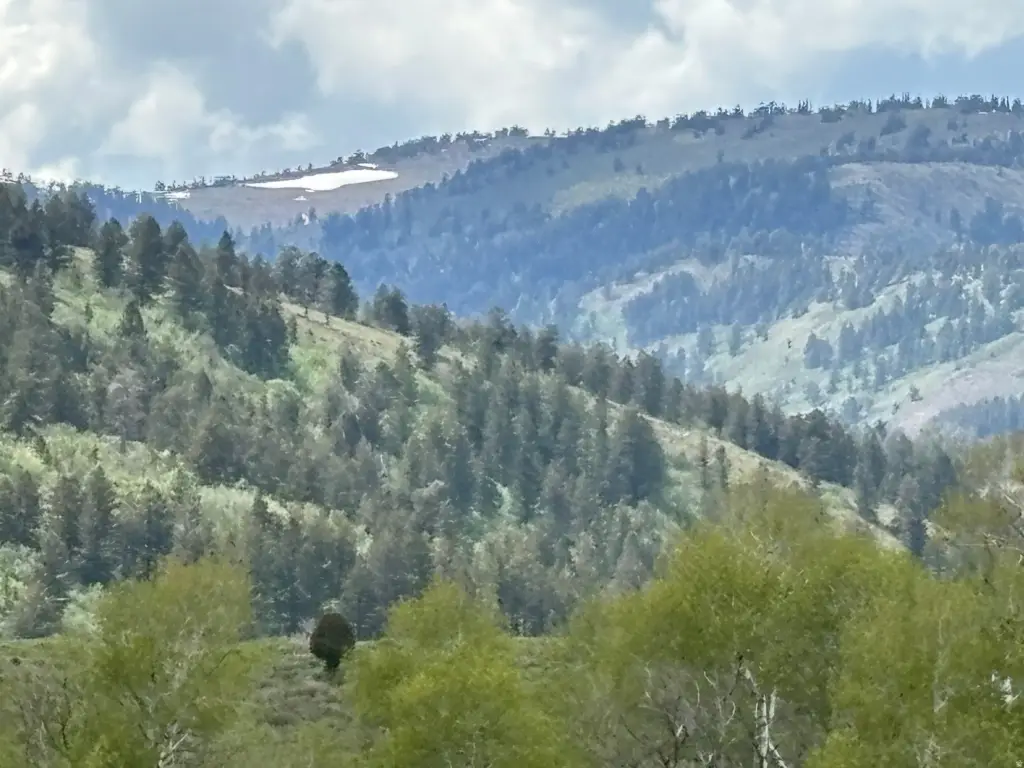 Picture 5