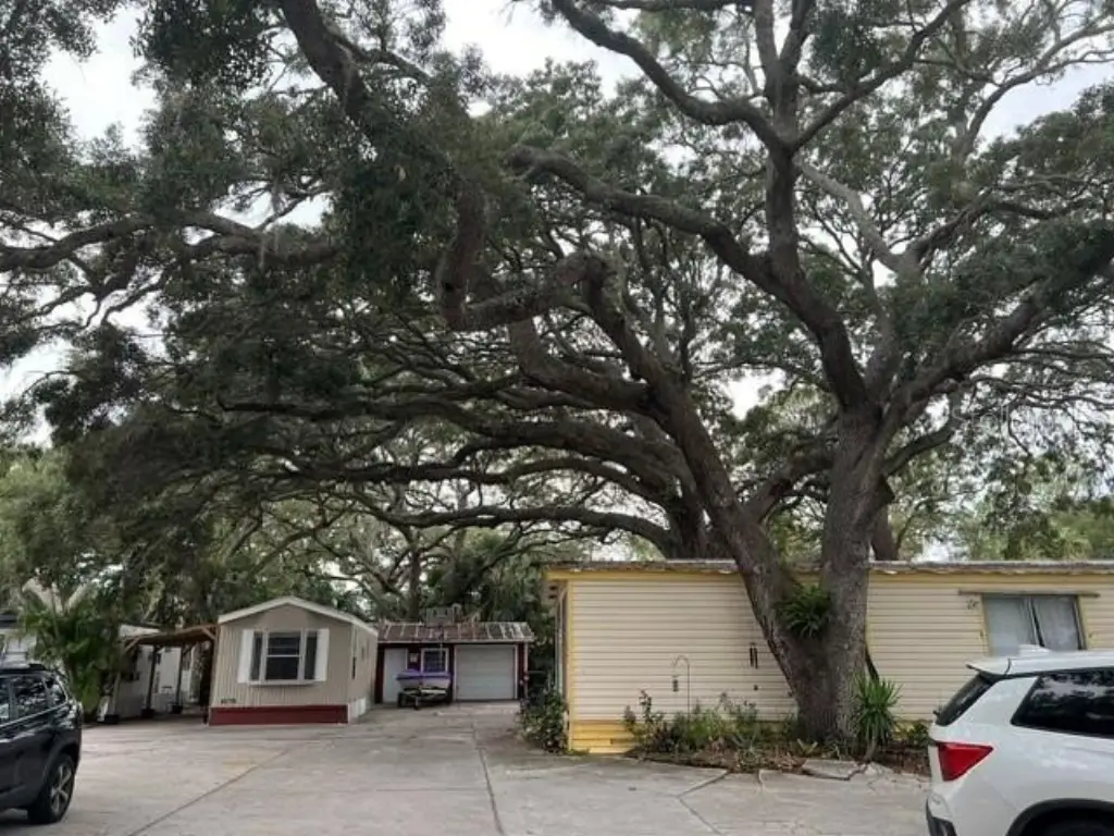 Picture 17