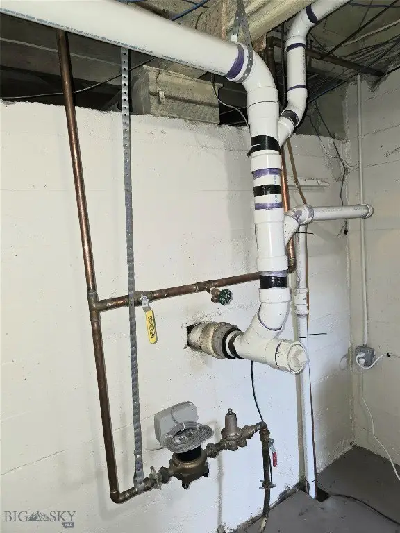 Picture 19