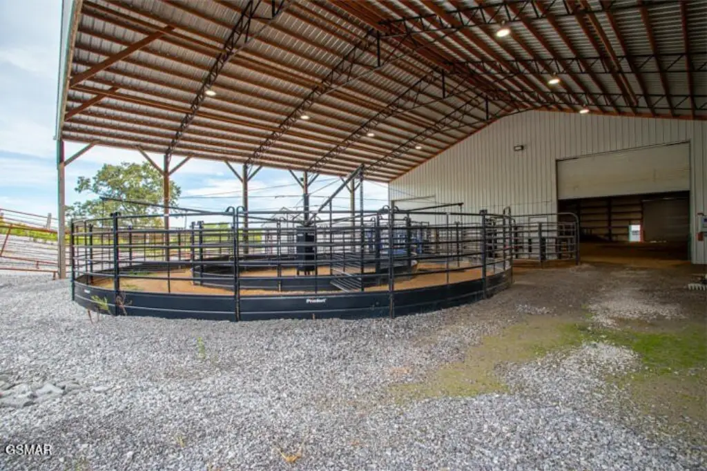 Picture 42