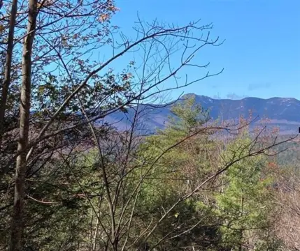 Eidelweiss Village District View Lot