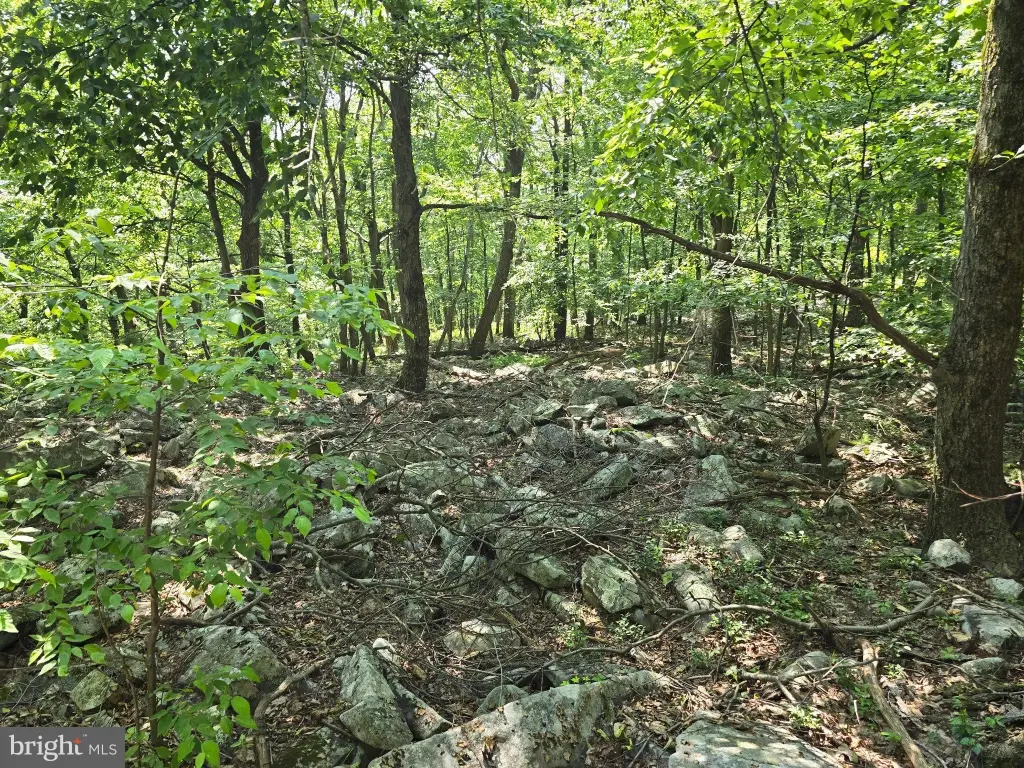 Picture 16